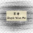 笨者（Stupid-Wise Me）