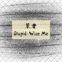 笨者（Stupid-Wise Me）专辑