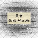 笨者（Stupid-Wise Me）