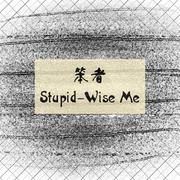 笨者（Stupid-Wise Me）