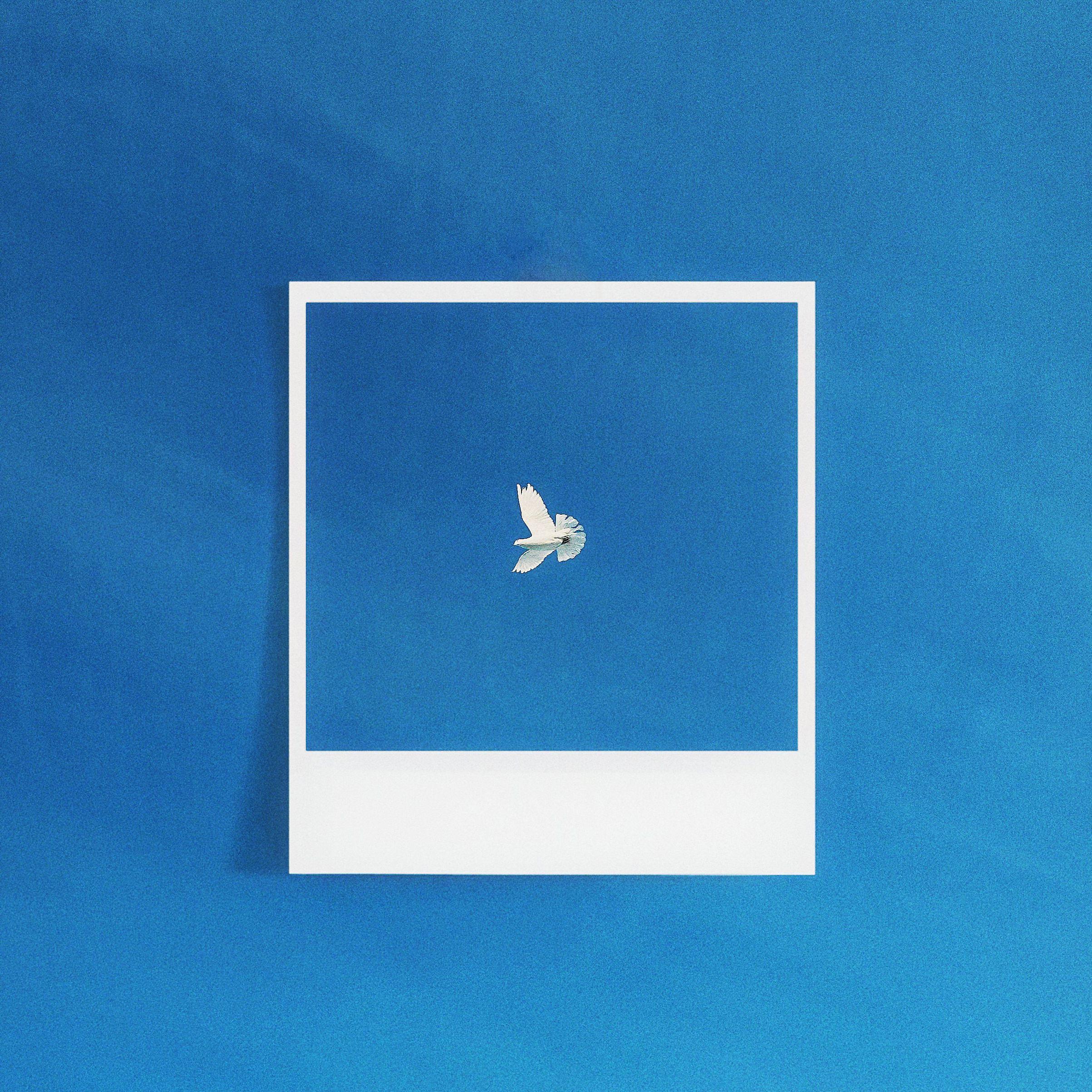 花开尽头