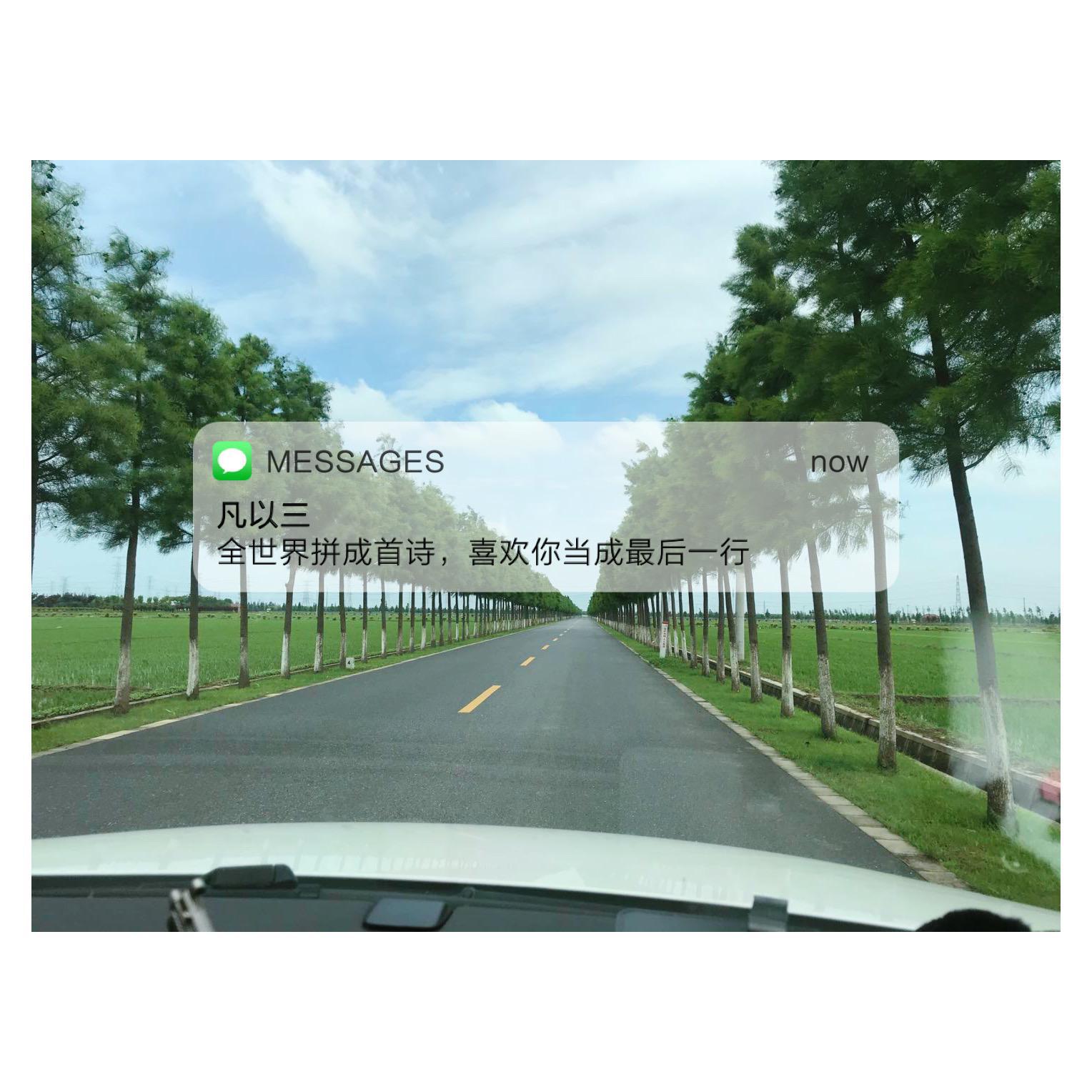 大好きです！