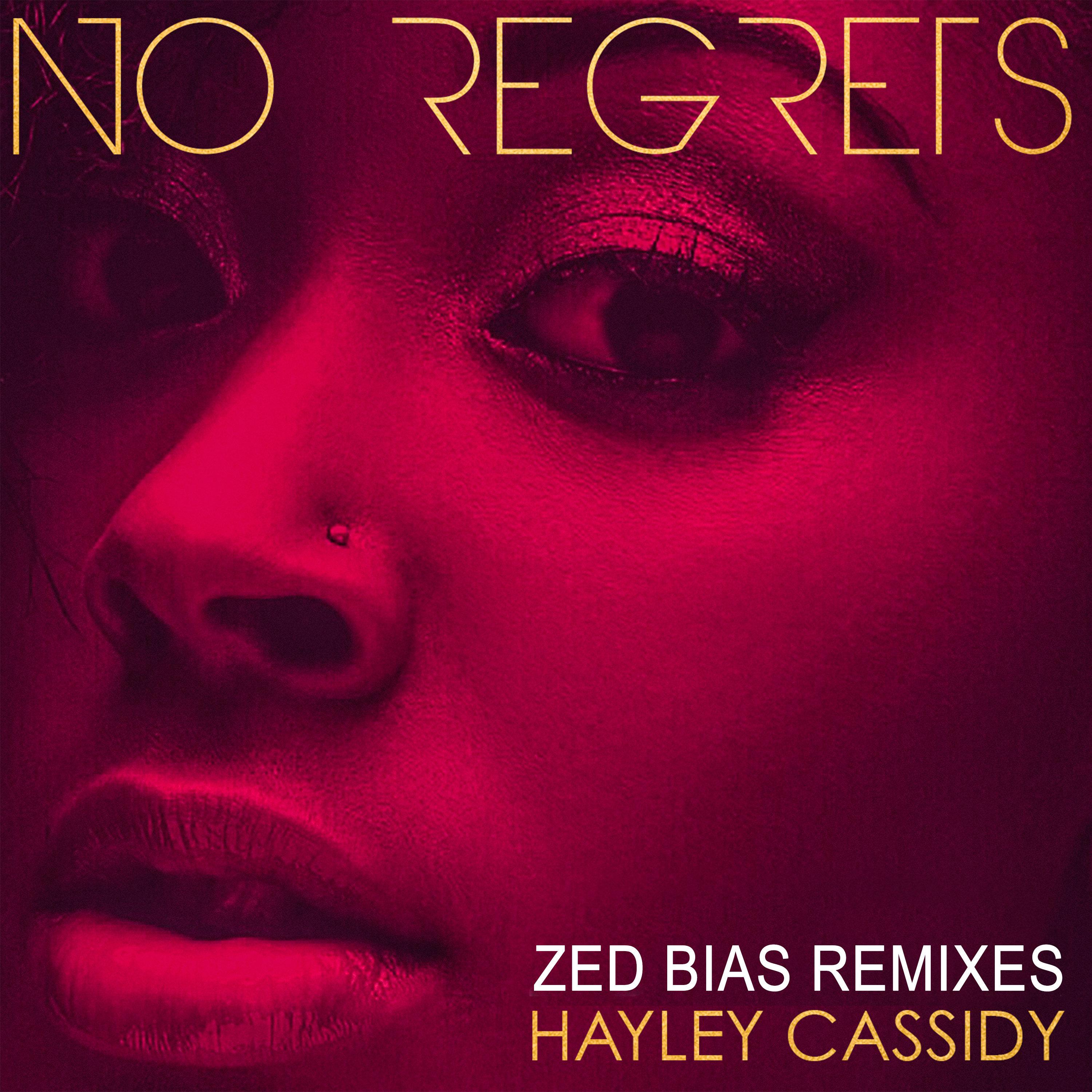 Hayley Cassidy - No Regrets (Zed Bias VIP Dub Mix)