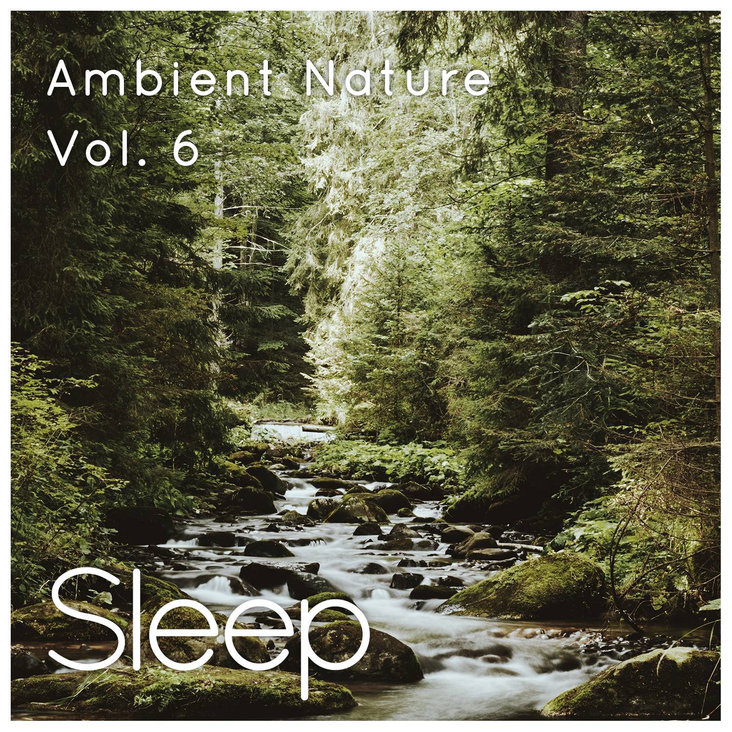 Sleep to Ambient Nature Sounds, Vol. 6专辑