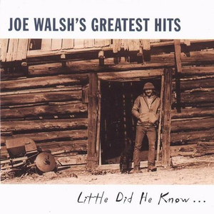 Joe Walsh - Turn to Stone (Karaoke Version) 带和声伴奏