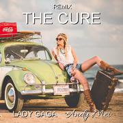 Lady Gaga - The Cure (Andy Mei Remix)