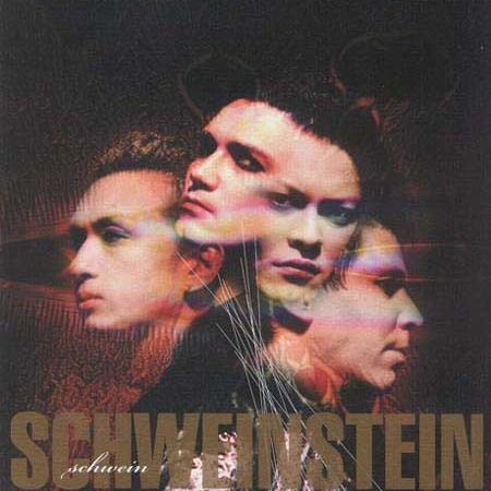 Schweinstein