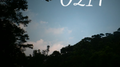 0214专辑