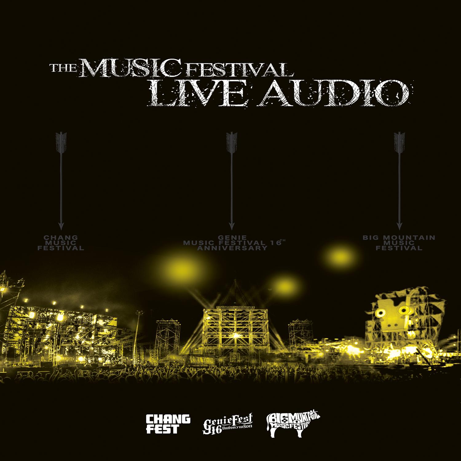 THE MUSIC FESTIVAL LIVE AUDIO专辑