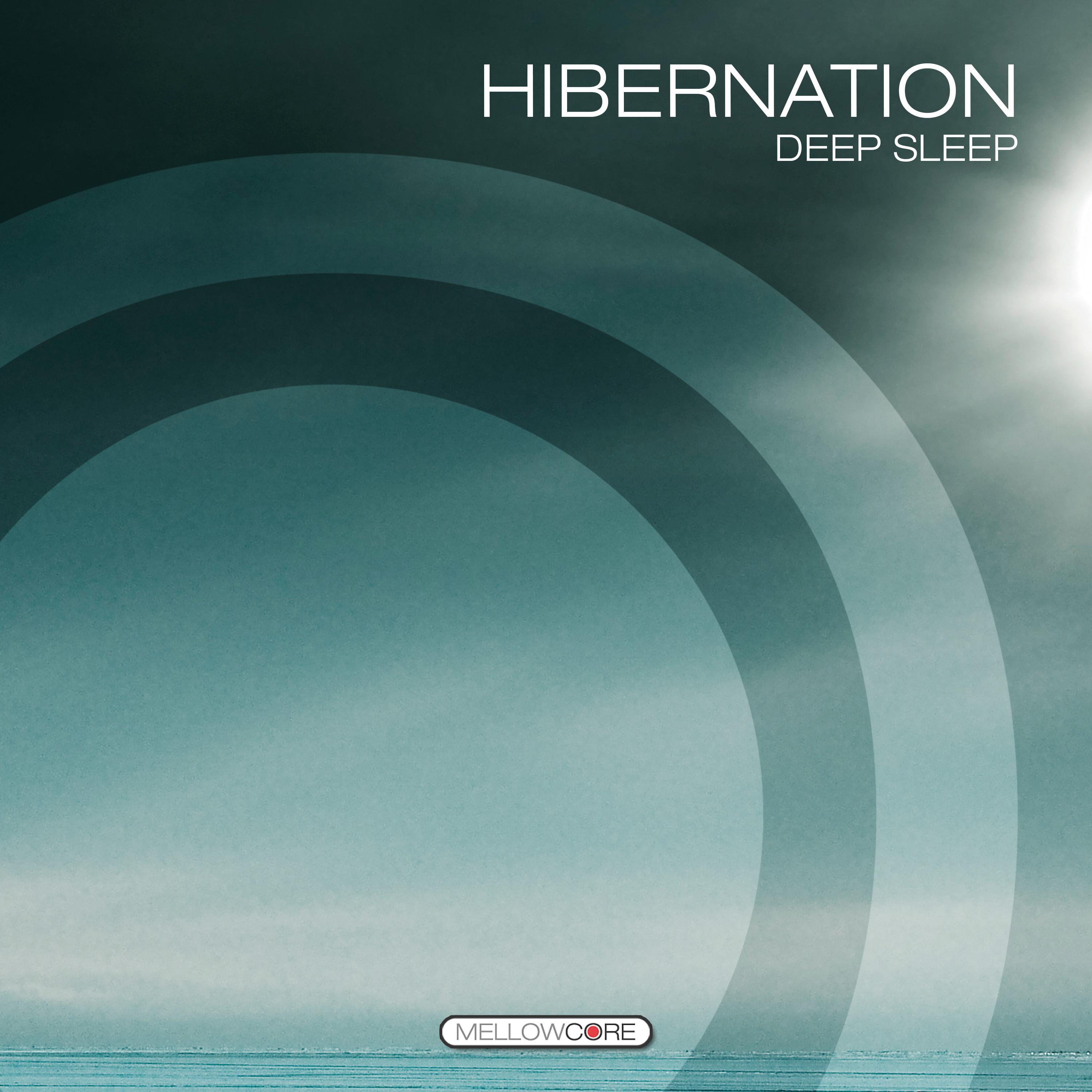 Hibernation