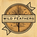 The Wild Feathers专辑