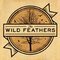 The Wild Feathers专辑