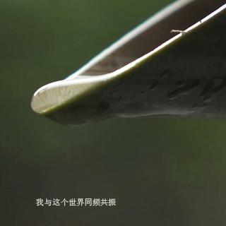 词作人裴育作品收集（收集byGRATIVY羽）
