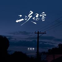 苏星婕 - 二次伤害