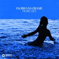 Floris Van Oranje - More Life (Intro Clean) 125