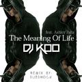 The Meaning Of Life (Subshock Remix)