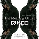 The Meaning Of Life (Subshock Remix)专辑