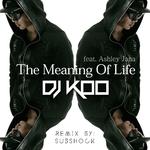 The Meaning Of Life (Subshock Remix)专辑