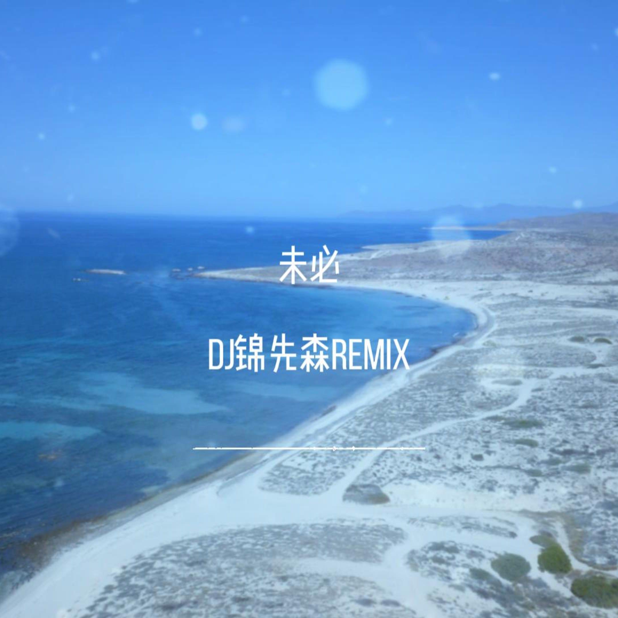 未必（DJ锦先森 Remix）