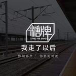 我走了以后（抖音版）专辑