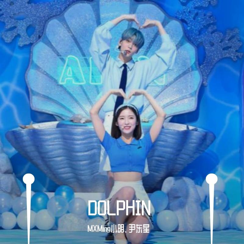 海豚|Dolphin