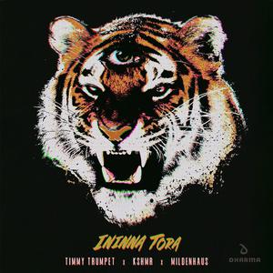 Timmy Trumpet、KSHMR、Mildenhaus - Ininna Tora (精消 带伴唱)伴奏