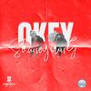 R.I.Plk - Okey (feat. Shane Young)