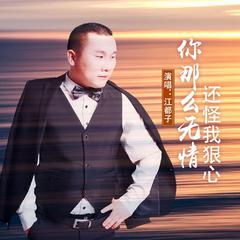 你那么无情还怪我狠心 (男声版)