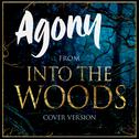 Agony (From "Into the Woods")专辑