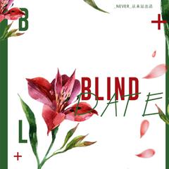 Blind Date（翻自 Vanilla Acoustic）