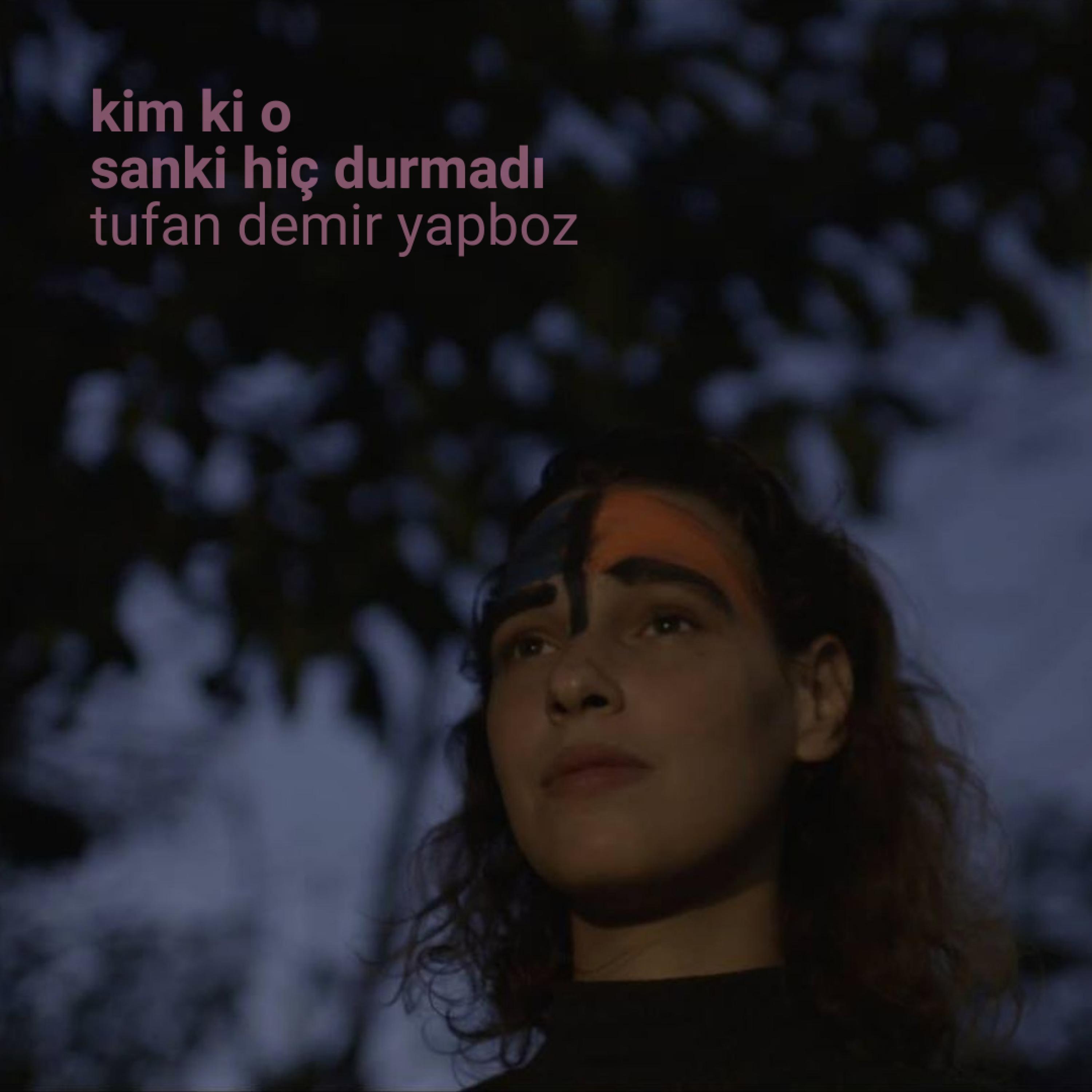 Sanki Hiç Durmadı (Tufan Demir Yapboz)