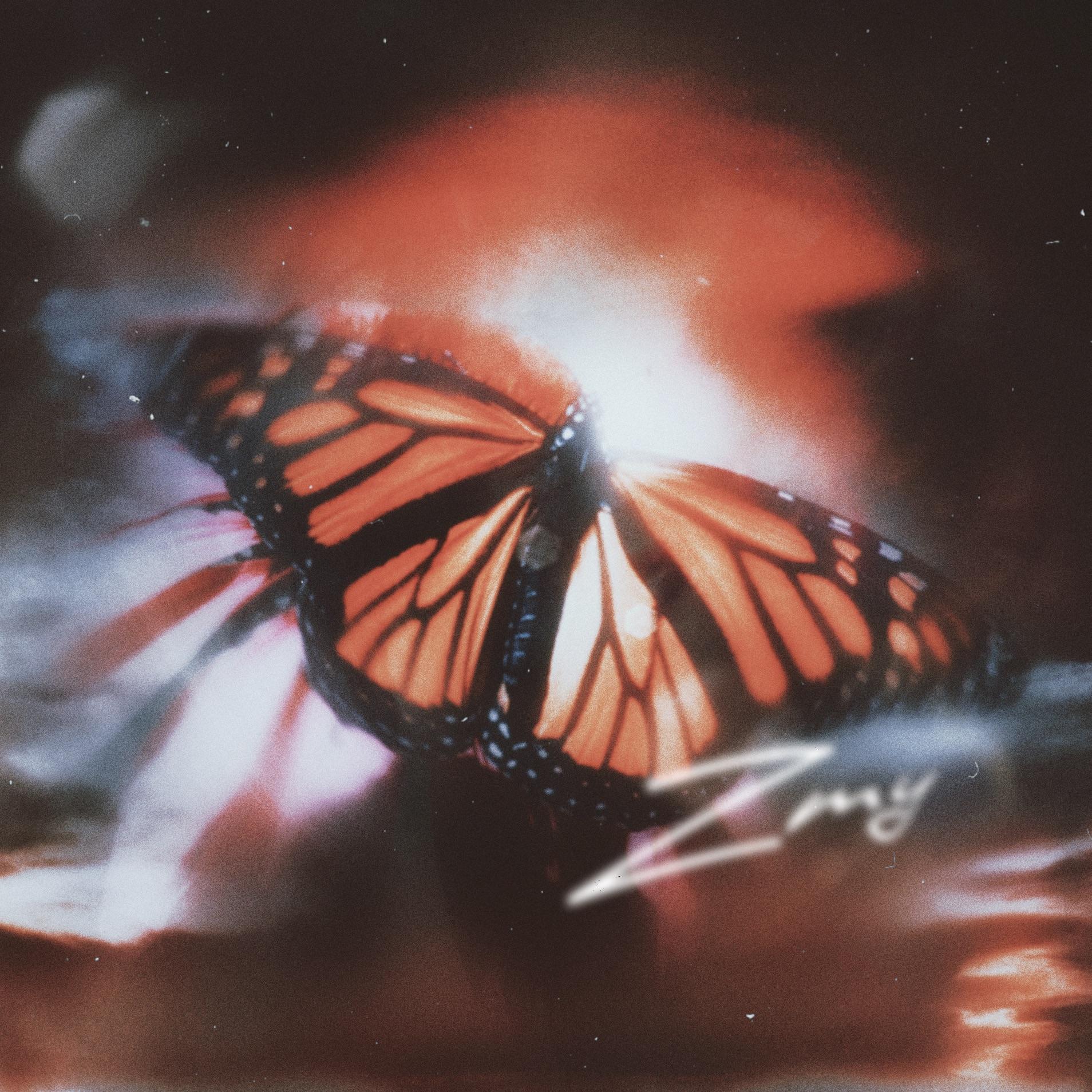 梦蝶（Butterfly）