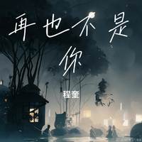 再也不是你