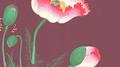 february专辑