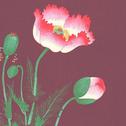 february专辑