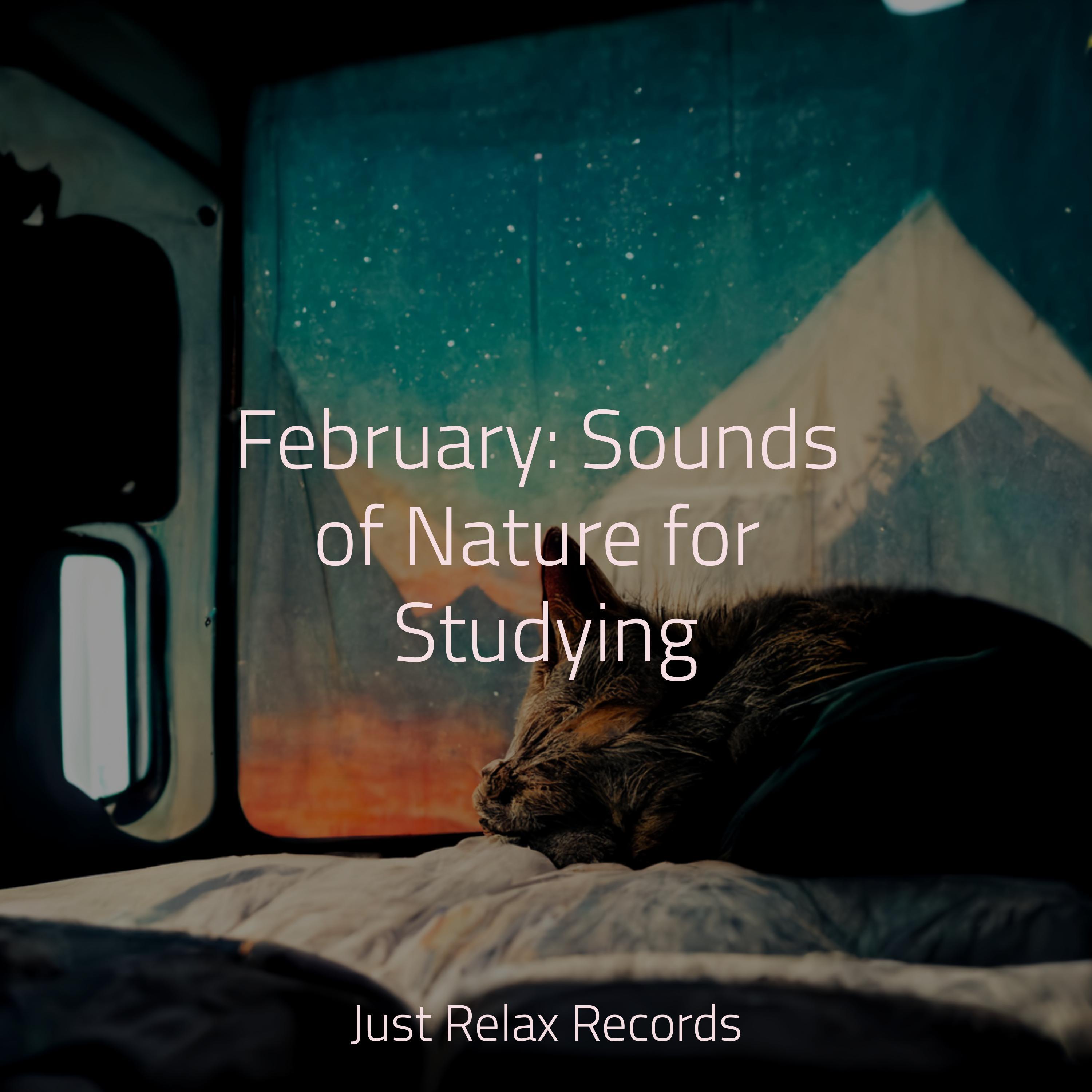February: Sounds of Nature for Studying
