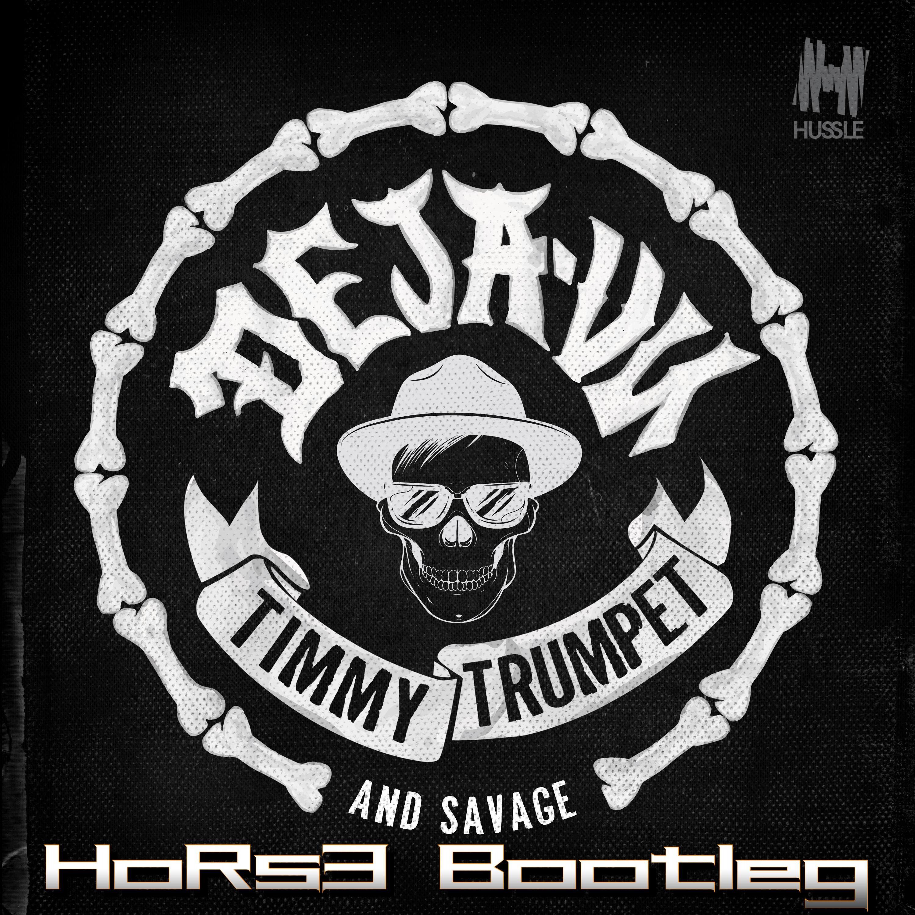 Timmy Trumpet-Deja-Vu（HoRs3 / Timmy Trumpet remix）