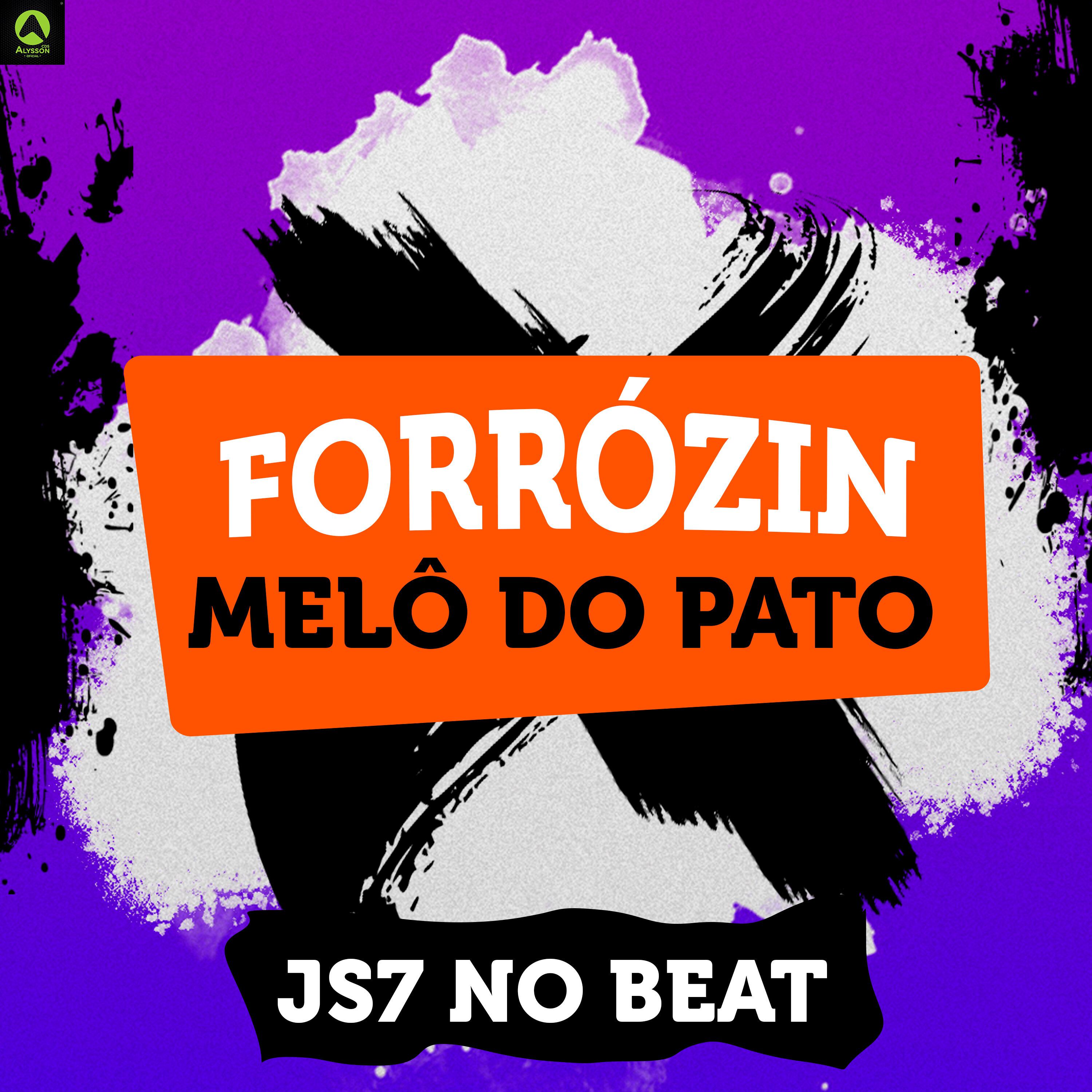 JS7 No Beat - Forrózin Melô do Pato