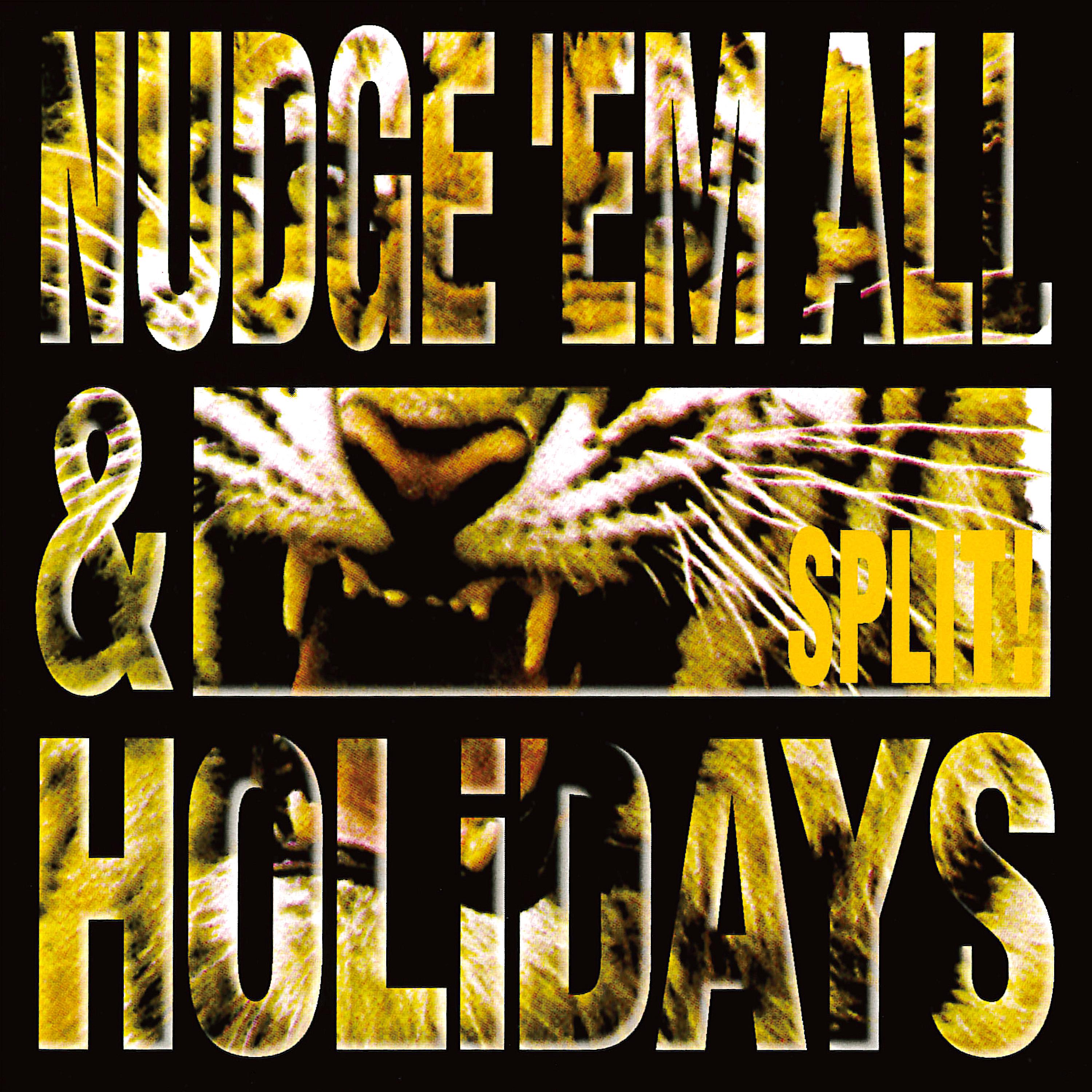 NUDGE'EM ALL & HOLiDAYS / SPLIT