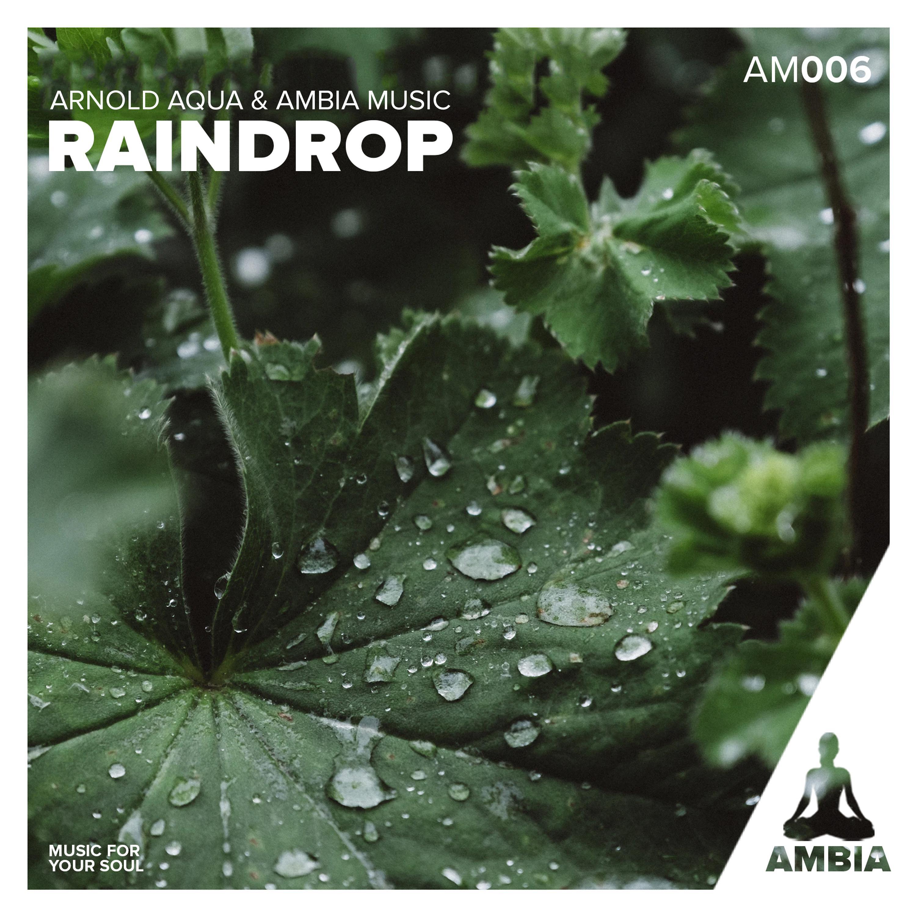 Raindrop I