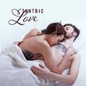 Tantric Love: Music for Spiritual and Physical Ecstasy专辑