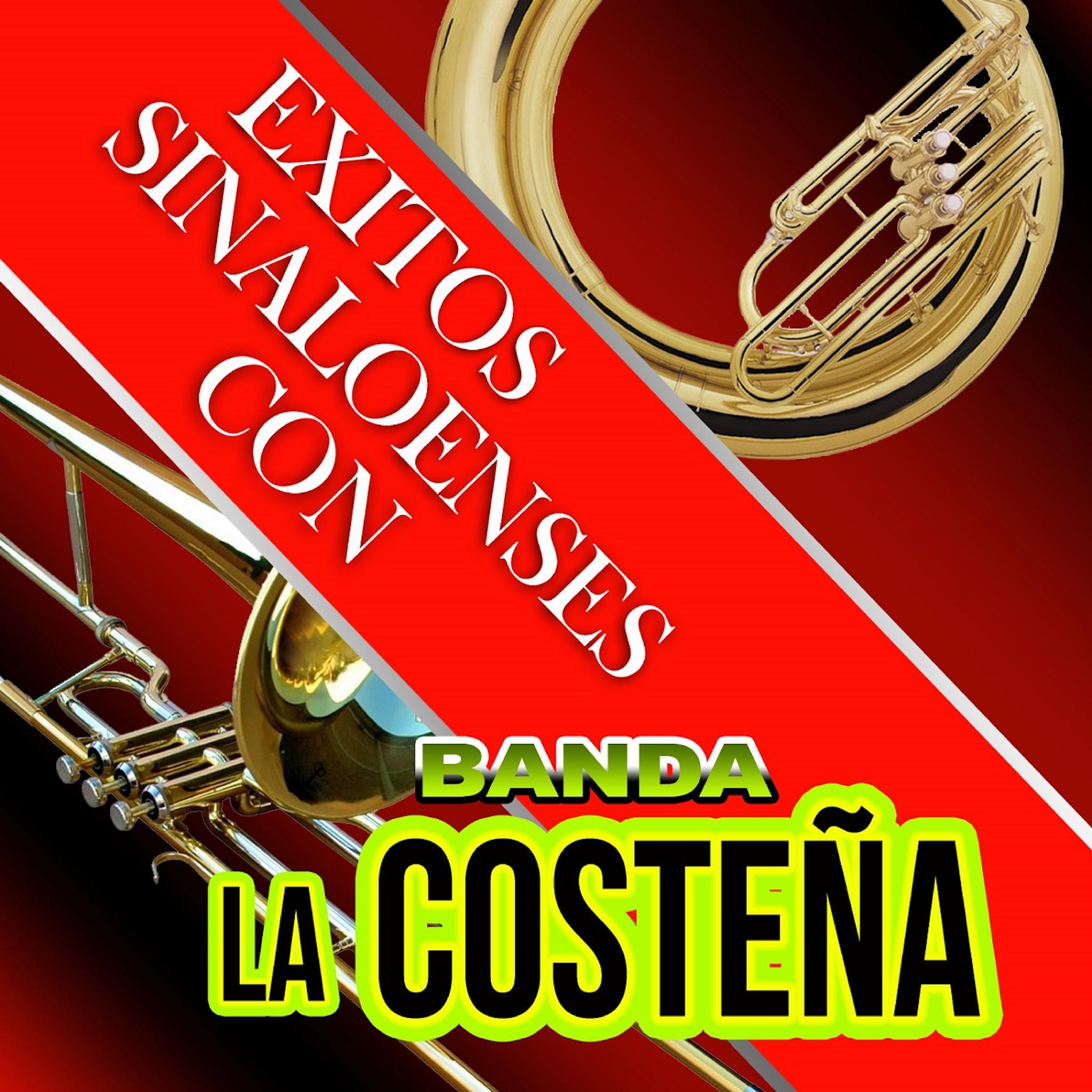 Exitos Sinaloenses