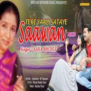 Teri Yaad Sataye Sawan Mein - Single