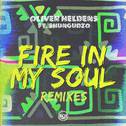 Fire In My Soul (Gil Sanders Remix)专辑