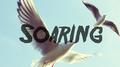 Soaring专辑