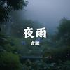 古璇 - 夜雨