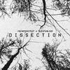 Sleepwalker - DISSECTION