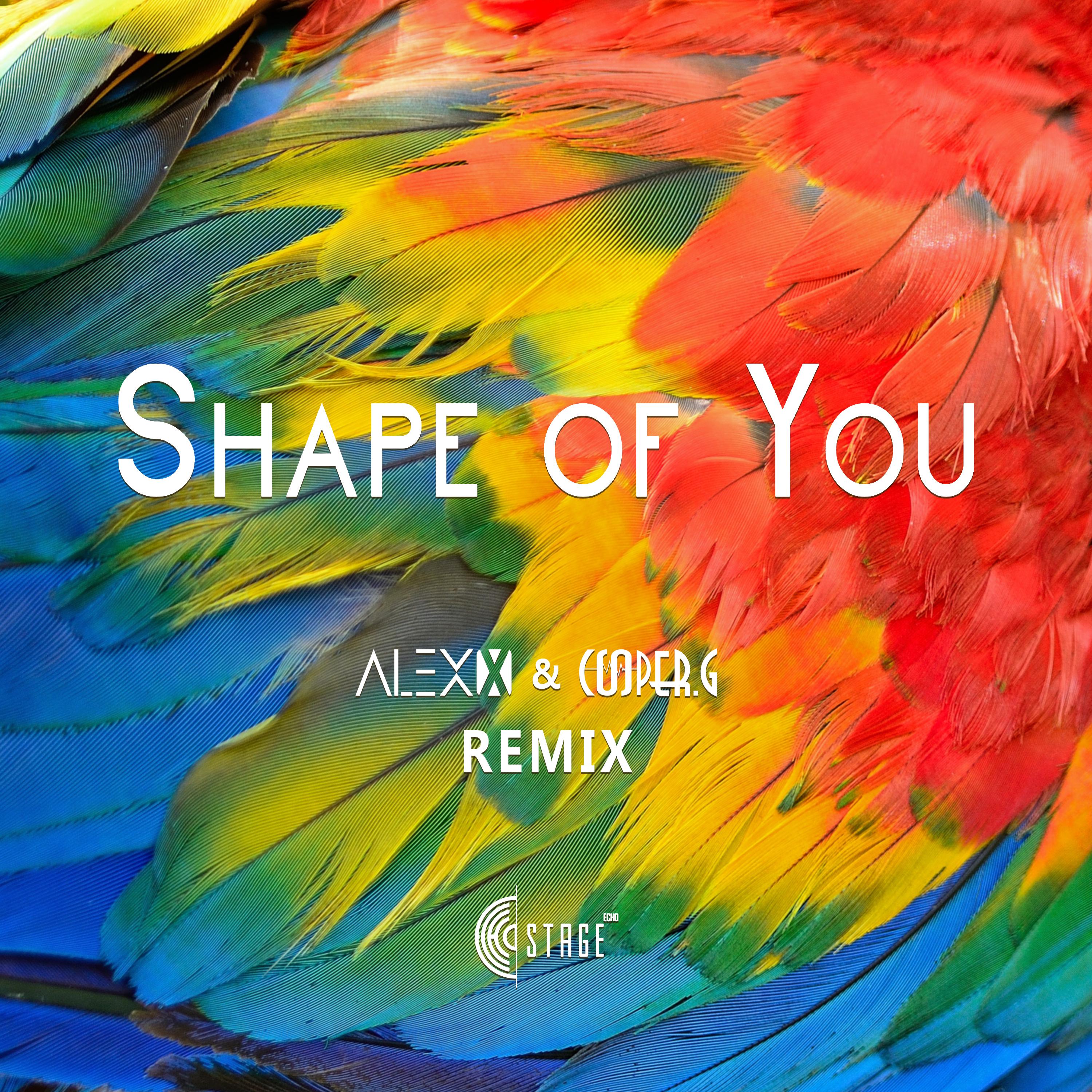 Shape of You(Alex x & Cooper.G Remix)专辑