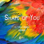 Shape of You(Alex x & Cooper.G Remix)专辑