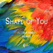 Ed Sheeran - Shape of You(Alex x & Cooper.G Remix)